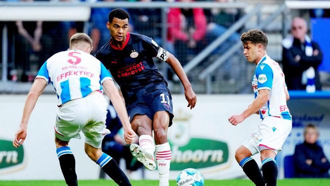 刺在他们的 刺在他们的